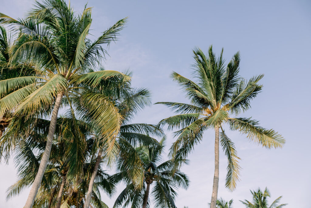 destination wedding photography key west