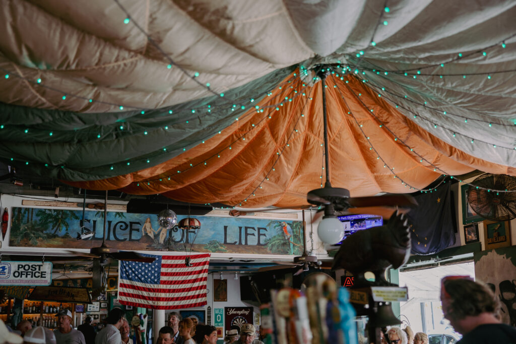 Green Parrot Parachute 