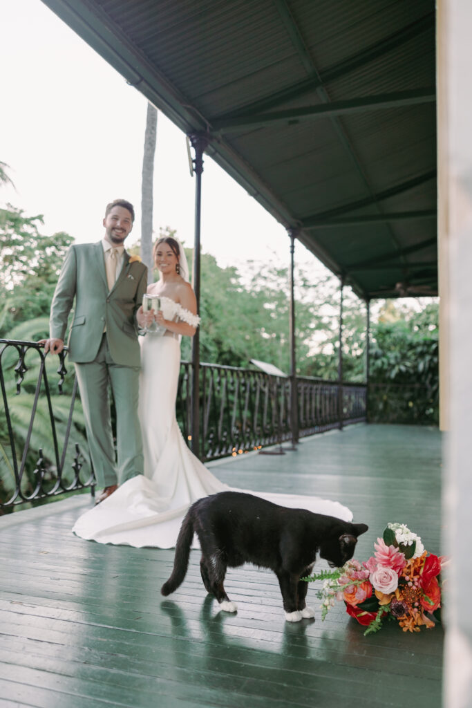 Couple sharing a toast with the six-toed cat at their dream wedding at the Hemingway House Museum, adding a unique and charming touch to their celebration.