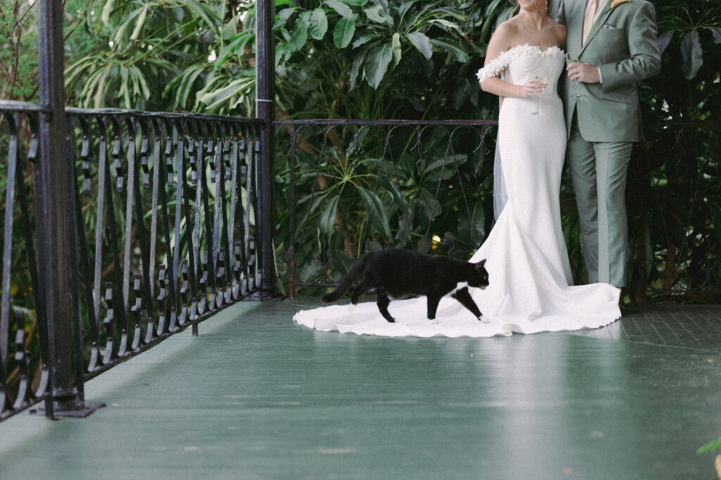Couple sharing a toast with the six-toed cat at their dream wedding at the Hemingway House Museum, adding a unique and charming touch to their celebration.